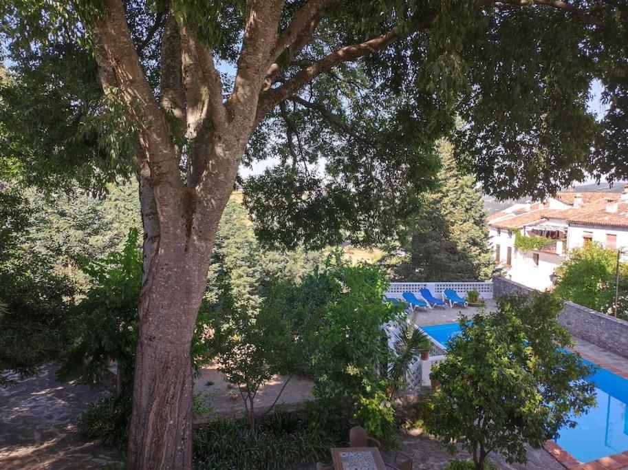 Casa Pomar - Preciosa Casa Con Piscina Y Vistas A La Sierra Villa Grazalema Ngoại thất bức ảnh